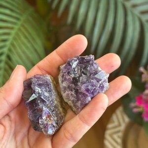 Puede incluir: Dos grupos de cristales de amatista en bruto con estructuras cristalinas de color p&uacute;rpura intenso, transl&uacute;cidas y dentadas. Las piedras muestran variaciones naturales en la intensidad del color, desde lavanda claro hasta violeta oscuro, con bases rugosas.