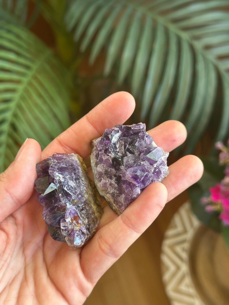 Puede incluir: Dos grupos de cristales de amatista en bruto con estructuras cristalinas de color p&uacute;rpura intenso, transl&uacute;cidas y dentadas. Las piedras muestran variaciones naturales en la intensidad del color, desde lavanda claro hasta violeta oscuro, con bases rugosas.