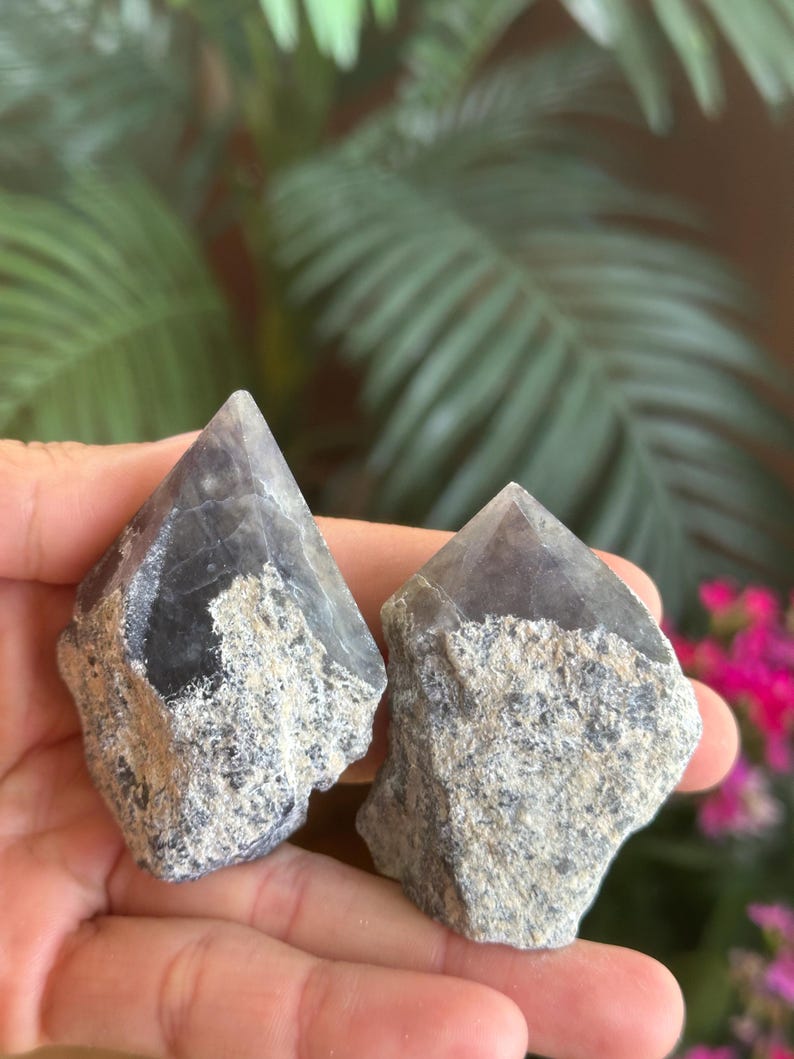 May include: Two raw crystal points featuring dark purple, translucent, pointed tips and rough, grey, textured mineral bases. The stones have a natural, unpolished appearance with distinct color transitions between the smooth, crystalline apex and the coarse, rocky bottom sections.