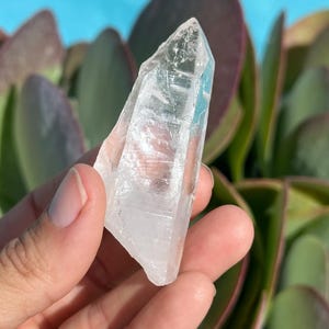 Lemurian Quartz Point: Master Healer Crystal