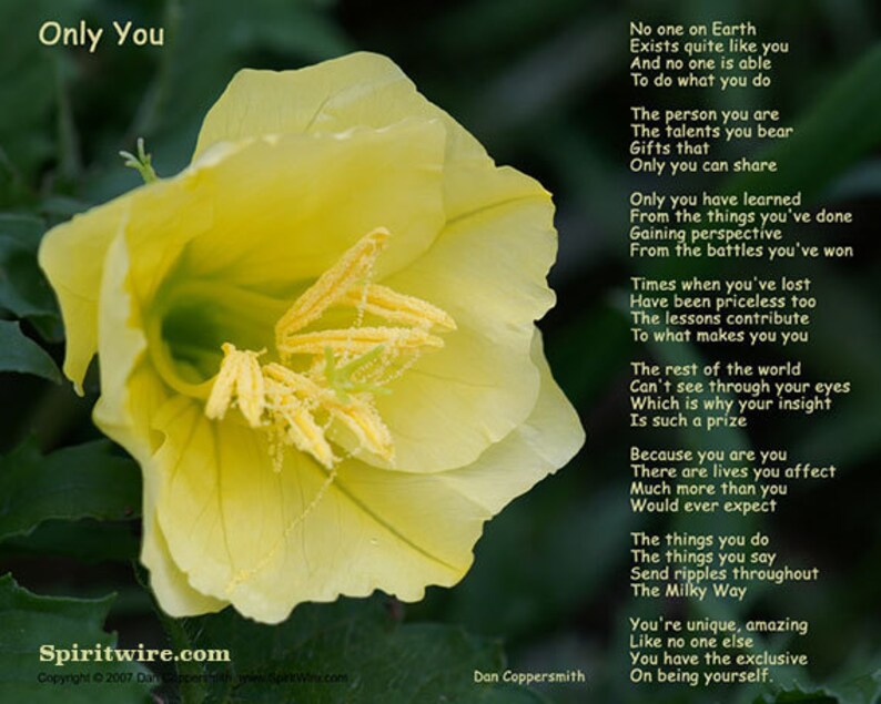 Only You Poem by Dan Coppersmith, Celebrate Your Uniqueness, Uplifting