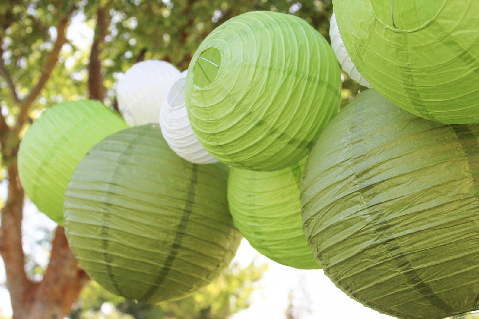 Just Artifacts Green Paper Lanterns Choose Your Size and Etsy