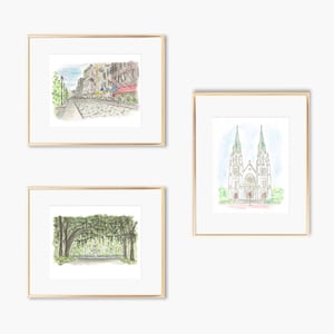 Savannah Collection: 1st Series