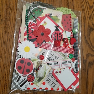 Lady Bug Junk Journal kit, Mystery Junk journal kit, junk journal embellishments, Lady bug scrapbooking supplies,