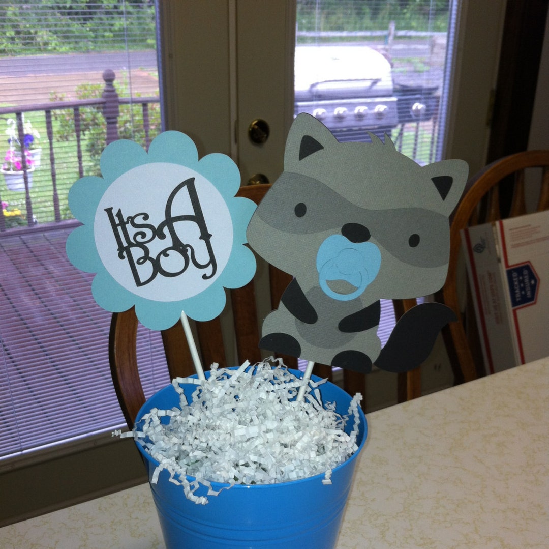Raccoon It's a Boy Centerpiece Sticks, Raccoon Centerpiece Sticks, Its a Boy Decorations