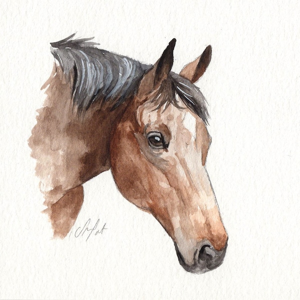 MINI horse portraits - Simple custom horse portraits. Animal watercolor painting based on a picture. Cat dog or any animal. Made to order