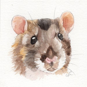 MINI exotic pets portraits - Simple custom rat portraits. Animal watercolor painting based on a picture. Any animal. Made to order