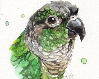 CUSTOM bird watercolor portrait. Exotic pet watercolour animal painting based on a picture. Realistic hand-painted minimalist made to order
