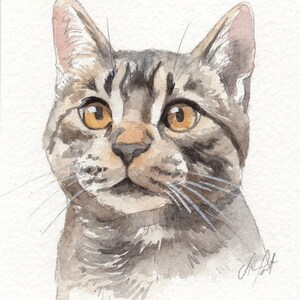 MINI cat portraits Simple custom cat portraits. Animal watercolor painting based on a picture. Cat dog or any animal. Made to order image 4