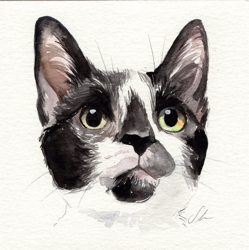 MINI cat portraits Simple custom cat portraits. Animal watercolor painting based on a picture. Cat dog or any animal. Made to order image 6