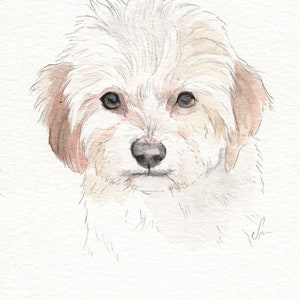MINI dog portraits Simple custom dog portraits. Animal watercolor painting based on a picture. Cat dog or any animal. Made to order image 6