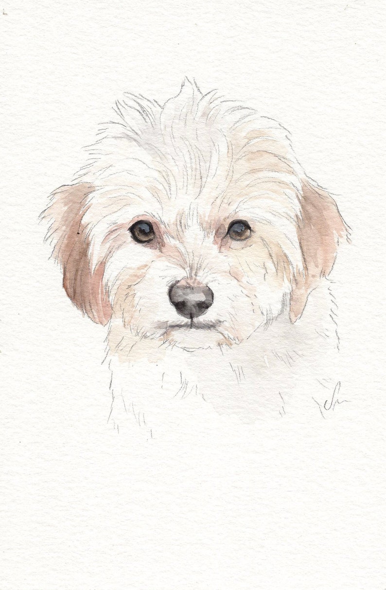 MINI dog portraits Simple custom dog portraits. Animal watercolor painting based on a picture. Cat dog or any animal. Made to order image 6