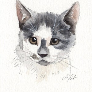 MINI cat portraits Simple custom cat portraits. Animal watercolor painting based on a picture. Cat dog or any animal. Made to order image 3