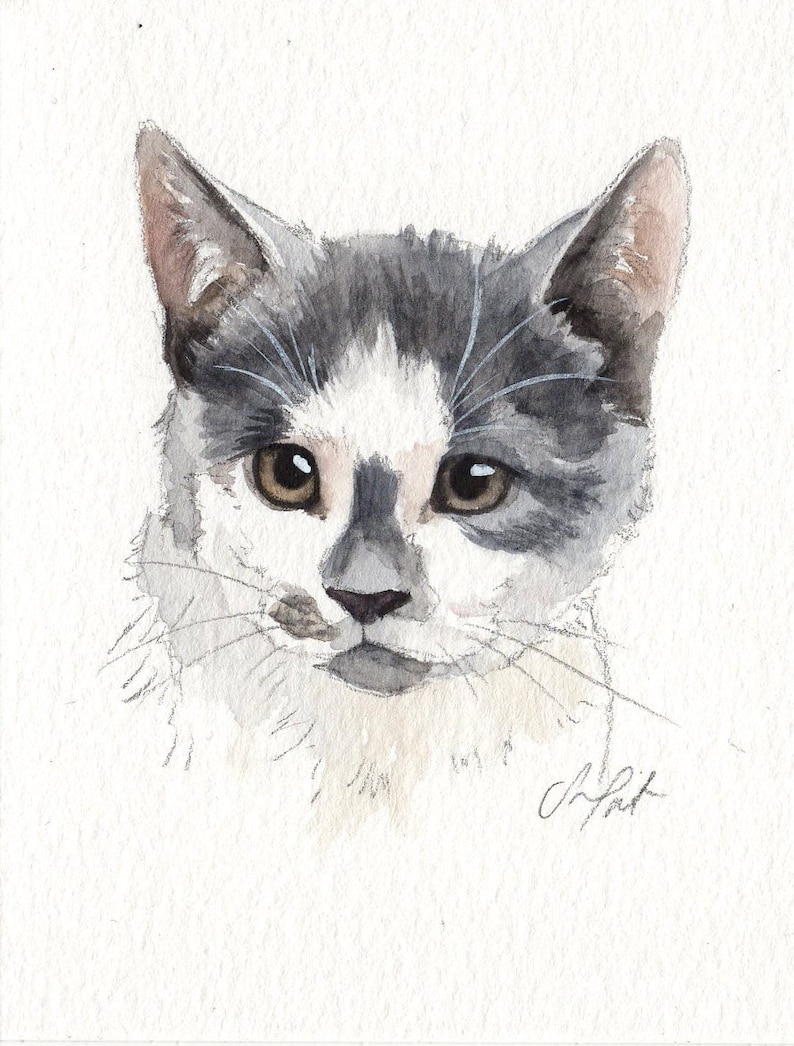 MINI cat portraits Simple custom cat portraits. Animal watercolor painting based on a picture. Cat dog or any animal. Made to order image 3