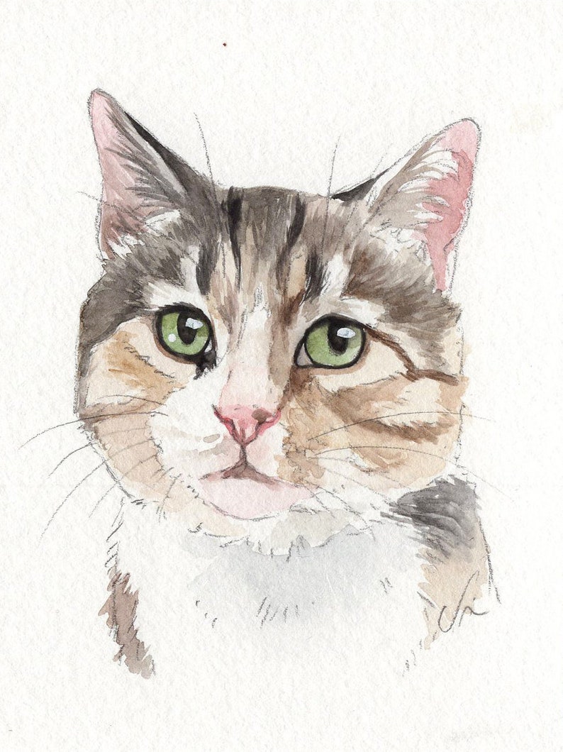 MINI cat portraits Simple custom cat portraits. Animal watercolor painting based on a picture. Cat dog or any animal. Made to order image 1