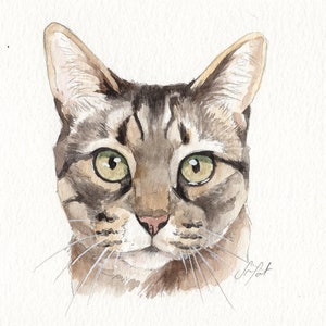 MINI cat portraits Simple custom cat portraits. Animal watercolor painting based on a picture. Cat dog or any animal. Made to order image 7