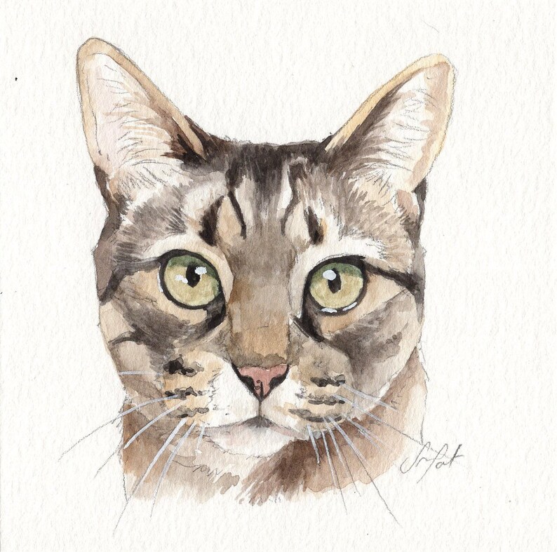 MINI cat portraits Simple custom cat portraits. Animal watercolor painting based on a picture. Cat dog or any animal. Made to order image 7