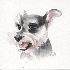 MINI dog portraits Simple custom dog portraits. Animal watercolor painting based on a picture. Cat dog or any animal. Made to order image 8