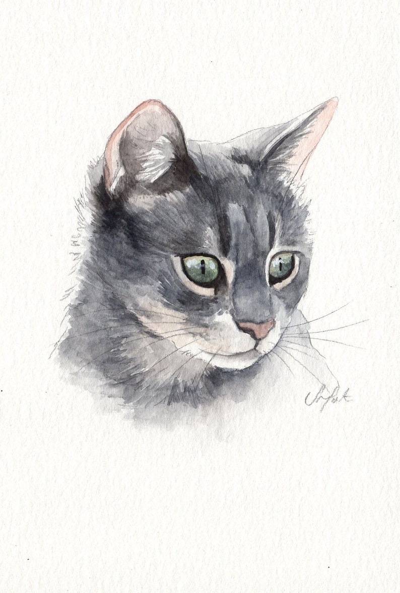 MINI cat portraits Simple custom cat portraits. Animal watercolor painting based on a picture. Cat dog or any animal. Made to order image 5