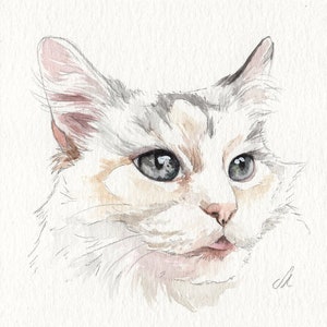 MINI cat portraits Simple custom cat portraits. Animal watercolor painting based on a picture. Cat dog or any animal. Made to order image 9