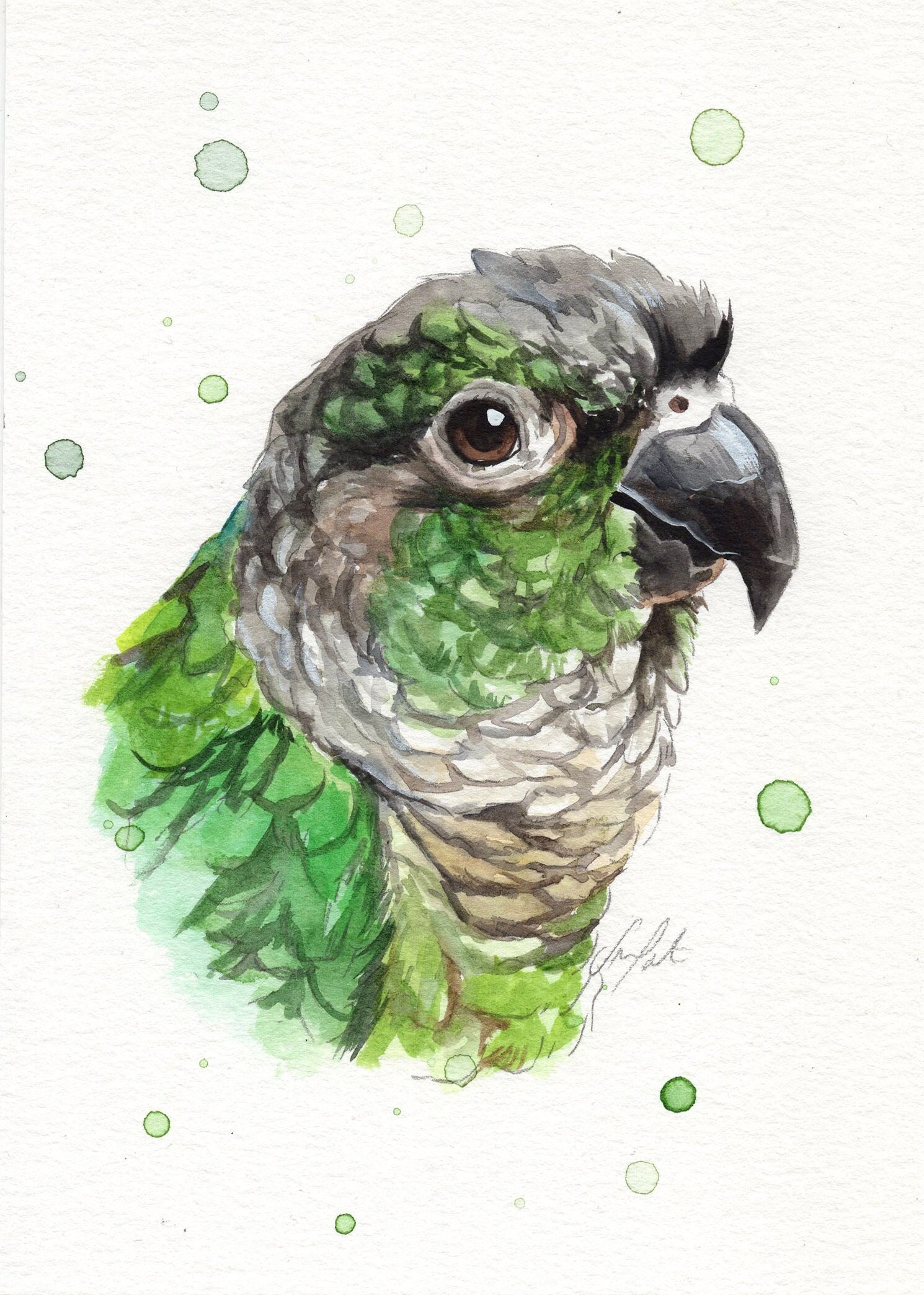 CUSTOM bird watercolor portrait. Exotic pet watercolour animal painting based on a picture. Realistic hand-painted minimalist made to order