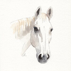 MINI Horse Portraits - Simple Custom Horse Portraits. Animal Watercolor ...