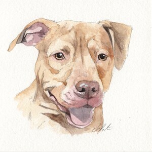 MINI dog portraits Simple custom dog portraits. Animal watercolor painting based on a picture. Cat dog or any animal. Made to order image 9