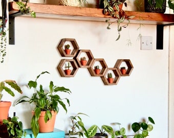 Set of 6 Hexies - Miniature Hexagon Shelves - Geometric Shelf - Plant Shelf Crystal Shelf - Mini Cactus - Wall Decor Plant Gift Houseplants