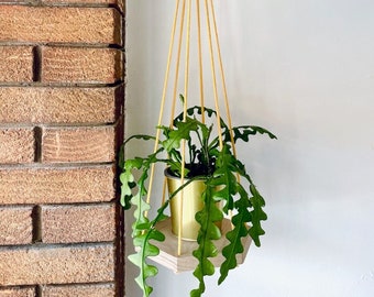 Solid Oak Plant Hanger - Plant Shelf - Hanging Shelf - String Shelf - Hexagon Plant Shelf - Wooden Shelf - Wall Decor Plant Gift Houseplants