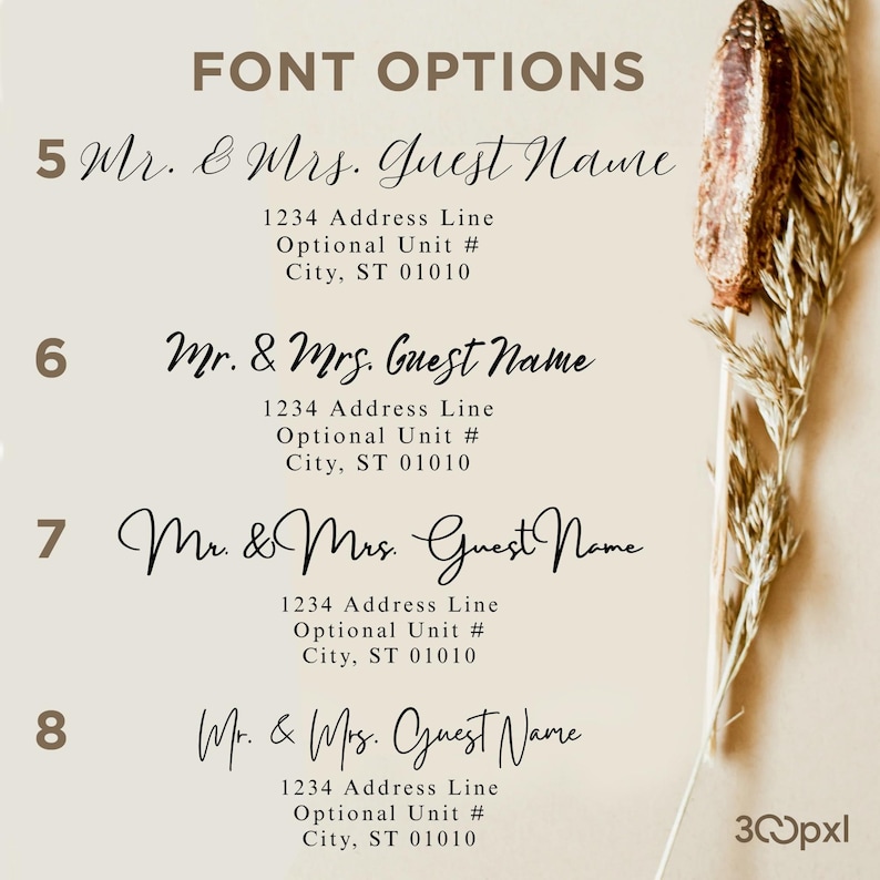 Custom Envelope Address Printing: Guest & Return Addressing image 8