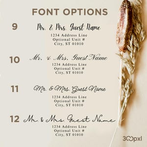 Custom Envelope Address Printing: Guest & Return Addressing image 9