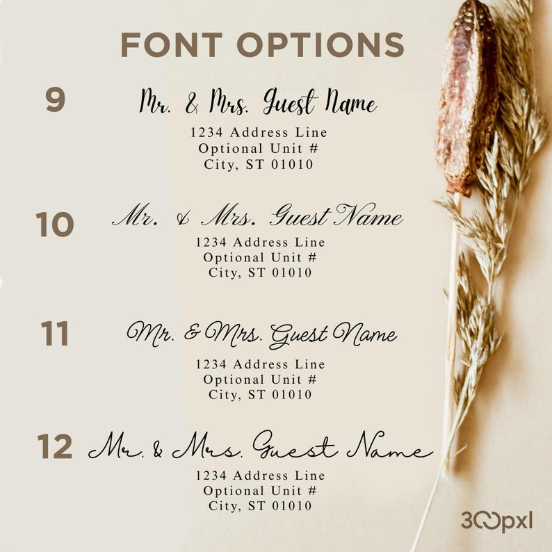 Custom Envelope Address Printing: Guest & Return Addressing image 9