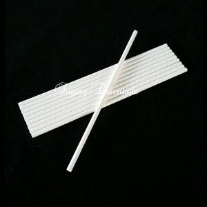 6 in. Cake Pop Sticks (1000 Pack)