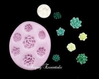 7 Pcs. XS Succulent Flowers Mold (AP)