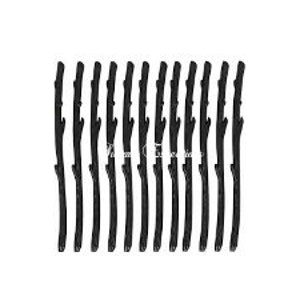 May include: A set of 15 black twig-shaped hair clips. The clips are about 3 inches long and have a slight curve to them.