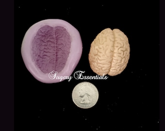Small Brain Mold