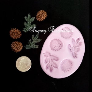 May include: A pink silicone mold with five impressions: two pine cones, two pine branches, and one larger pine cone. The mold is surrounded by four small brown pine cones and two green pine branches.