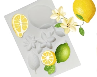Citrus Mold V4