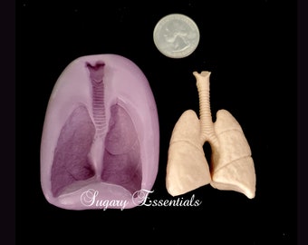 Lungs Mold