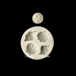 Studded Seashell Mold