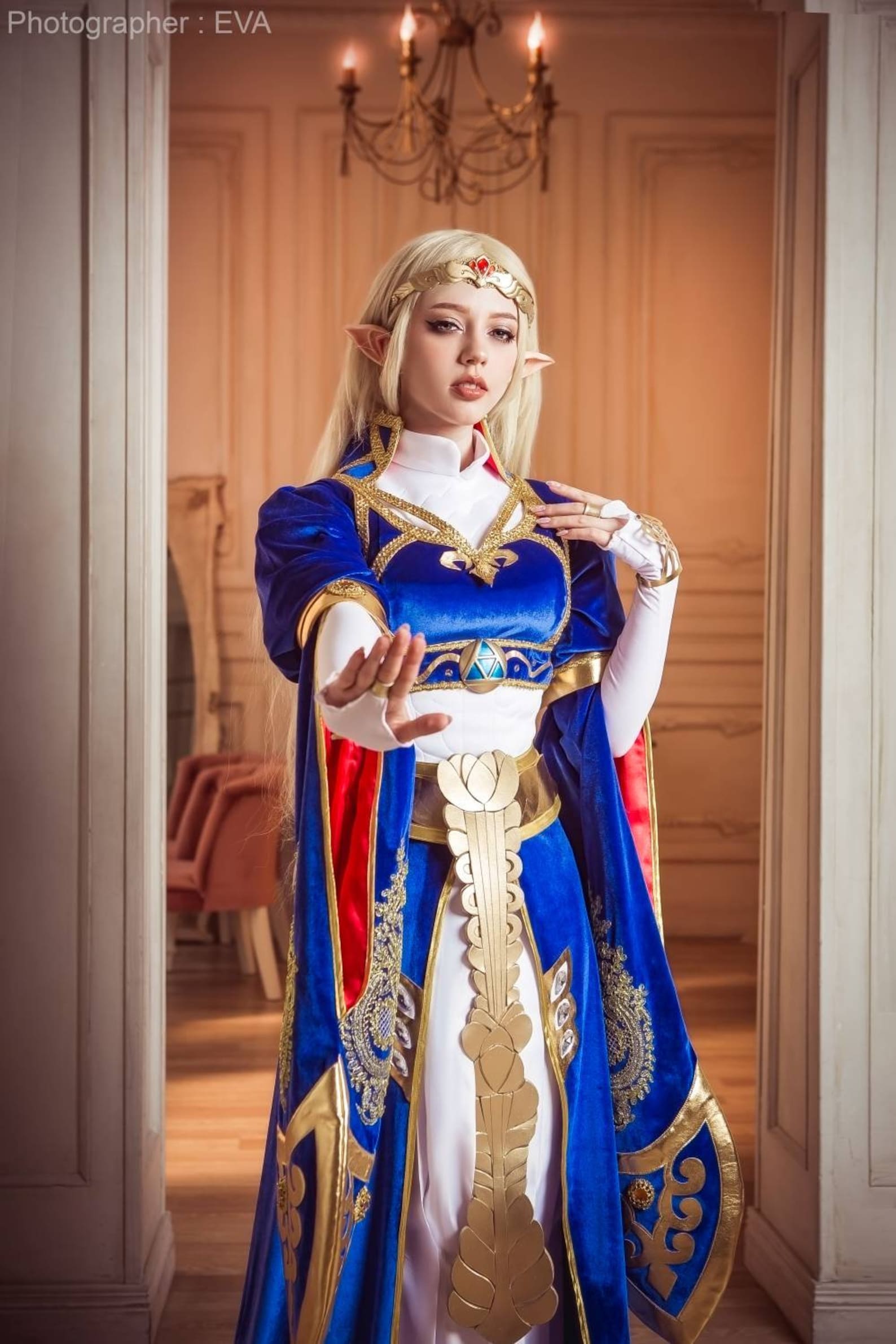 Princess Zelda blue royal cosplay dress from Breathe of The | Etsy