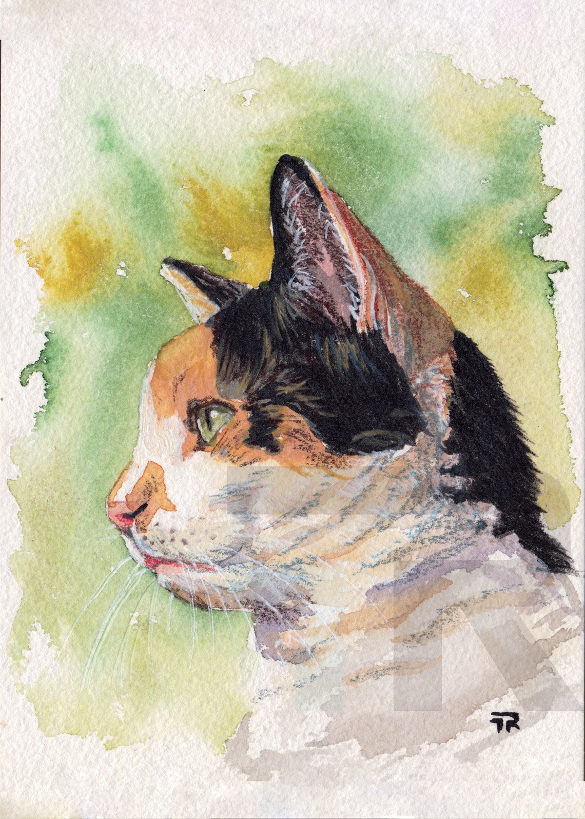 Watercolor Pet Portraits Custom Painted Dog and Cat Etsy