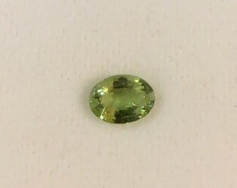 Natural Green Pariaba Tourmaline Oval 7.67mm x 5.61mm Wholesale Lot of 1 Stone VERY RARE .95ct #PG4398