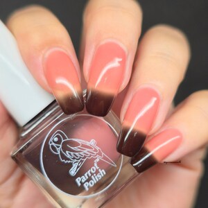 May include: A bottle of Parrot Polish nail polish next to a hand with long, square-shaped nails. The nails have a gradient design, transitioning from a light peach to a dark brown color. The nail polish bottle is clear with a white cap and a parrot logo.