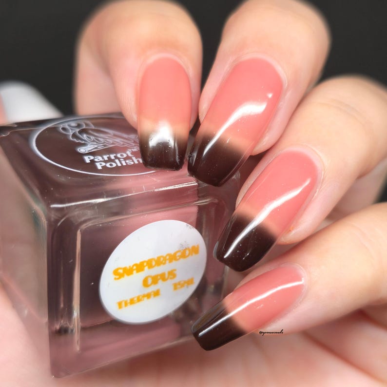 May include: A close-up of a bottle of Parrot Polish nail polish next to a hand with long, square-shaped nails. The nails are painted with a gradient effect, transitioning from a light pink to a dark brown color. The nail polish bottle has a brown cap and a white label.