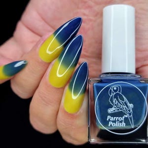 Parrot Polish Forget Me Not Color Changing Thermal Nail Lacquer - Blue/Yellow | Indie Nail Polish | Handmade Nail Lacquer | Gift for Her image 2