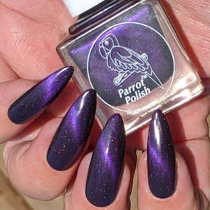 Parrot Polish Apache Princess Magnetic Nail Polish - Purple