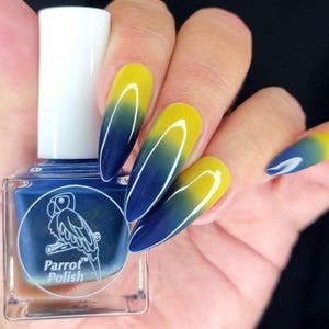 Parrot Polish Forget Me Not Color Changing Thermal Nail Lacquer - Blue/Yellow | Indie Nail Polish | Handmade Nail Lacquer | Gift for Her image 3