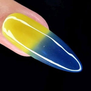 Parrot Polish Forget Me Not Color Changing Thermal Nail Lacquer - Blue/Yellow | Indie Nail Polish | Handmade Nail Lacquer | Gift for Her image 5