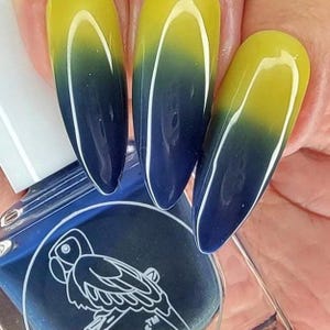 Parrot Polish Forget Me Not Color Changing Thermal Nail Lacquer - Blue/Yellow | Indie Nail Polish | Handmade Nail Lacquer | Gift for Her image 6